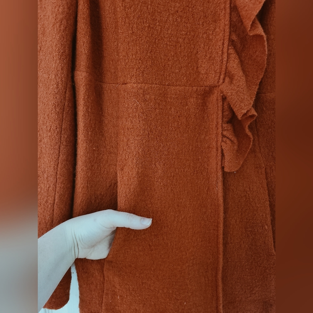 Sandro Fall Coat - image 4